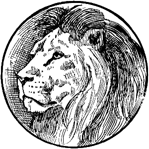 The Lion Champion
